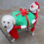Trajes de Natal para cães Presente engraçado Papai Noel Roupas para cães Filhote de cachorro Casaco de veludo Inverno quente Roupas para animais de estimação