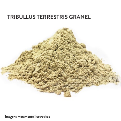 Tribullus Terrestris Granel (500G)