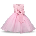 Tulle Lace Princess Dresses for Girl Vestidos Bebes Infant Kids Dress Summer Sleeveless Children's Ball Gown
