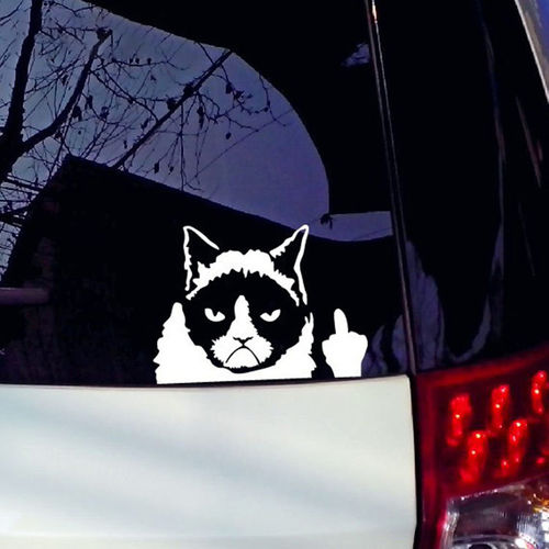 Único gesto de mão engraçado Grumpy Cat vinil adesivo de carro Truck Janela reflexiva decalque