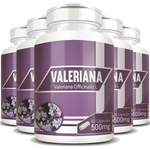 Valeriana 100% Pura 500mg - 05 Potes