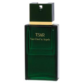 Van Cleef & Arpels Tsar Perfume Masculino Eau de Toilette 100 Ml - 100 ML
