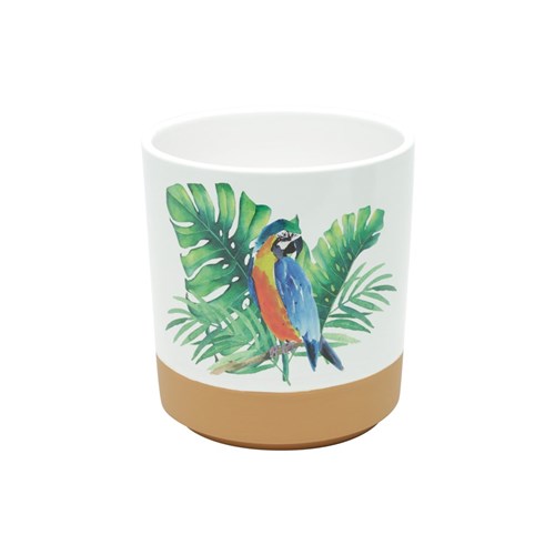 Vaso Cerâmica Parrot Colorido Md 12X13Cm