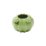 Vaso De Cerâmica Cactos Verde 15,5x12,5cm
