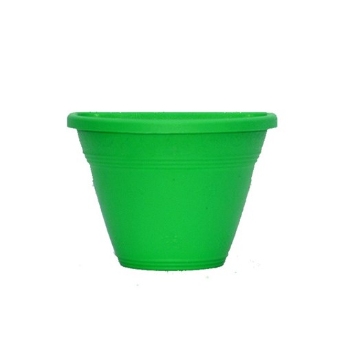 Vaso de Parede - Verde - 15 Cm - Kit 05 Un + Brinde