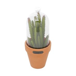 Vaso Decorativo com Redoma de Vidro e Plantinha Plástica Candelabra Cactus 22,23cmx8,89cm Urban Verde/Laranja