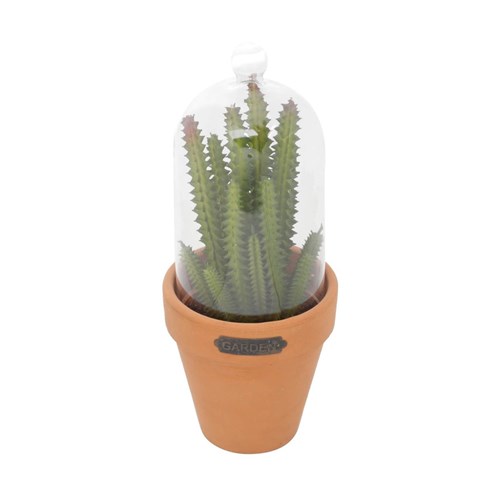Vaso Decorativo com Redoma de Vidro e Plantinha Plástica Candelabra Cactus 22,23Cmx8,89Cm Urban Verde/Laranja