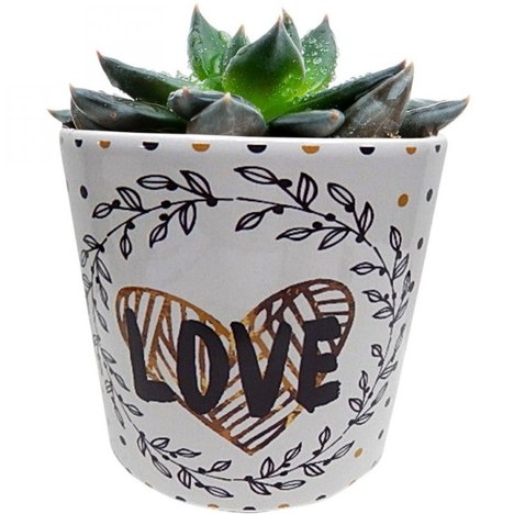 Vaso Decorativo de Cerâmica Love And Flowers 14,2Cm X 14Cm Urban Branco