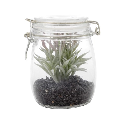 Vaso Decorativo de Vidro com Tampa Aloe Cactus 13,97Cmx13,08Cm Urban Transparente