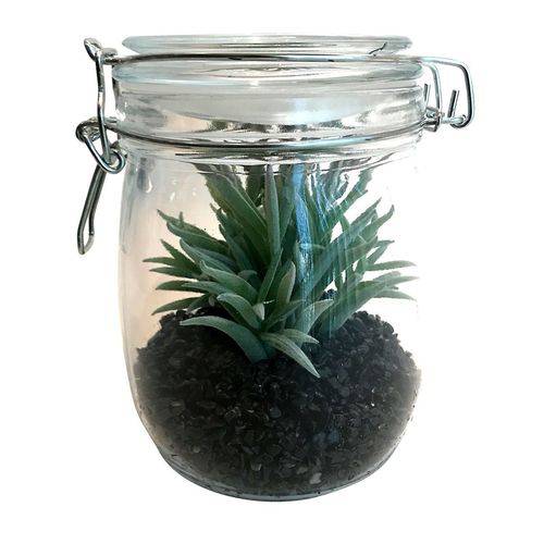 Vaso Decorativo de Vidro com Tampa Hermética Aloe Cactus Urban - H40916