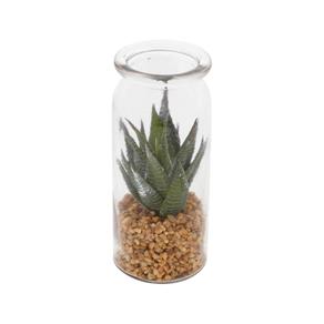 Vaso Decorativo de Vidro Snake Plant 18,42cmx7,62cm Urban Transparente