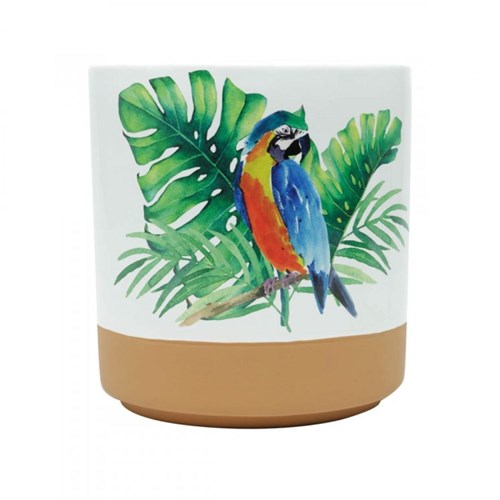 Vaso Decorativo em Cerâmica Parrot 17,5cmx16,5cm Urban Colorido