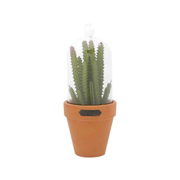 Vaso em Vidro com Tampa Urban Cactus 8,9x22cm Verde / Laranja