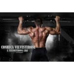 Velvesterone 250mg - Testosterona Like com 30 cápsulas
