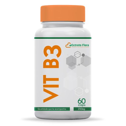 Vitamina B3 250mg 60 Cápsulas