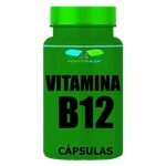 Vitamina B12 1000 mcg - 30 cápsulas - Conservação Do Sistema Nervoso