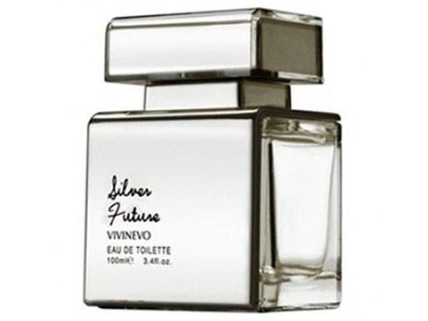 Vivinevo Silver Future Perfume Masculino - Eau de Toilette 100ml