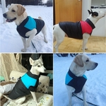 Waterproof Jacket Pet Puppy Dog Vest Chihuahua Roupa Quente roupas para cachorros