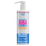 Widi Care Higienizando a Juba Shampoo 500 Ml