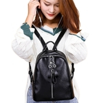 Woman Soft PU Simple Fashion Travel Bag Double Zipper Bag Large Capacity Pouch
