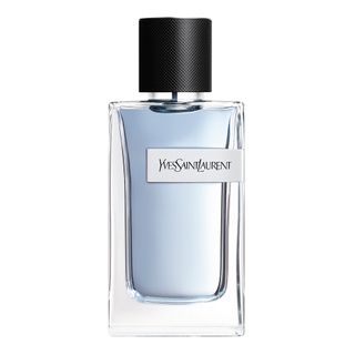 Y Yves Saint Laurent Perfume Masculino EDT 100ml