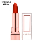 Yolendo Matte Makeup Lipstick Waterproof Long Lasting Moisturizer Lip Stick