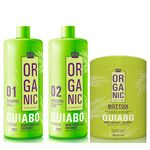 Ficha técnica e caractérísticas do produto 02 Kits Progressiva de Quiabo Definitiva + Botox Capilar Liso Absoluto 5x1 litro