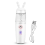 Ficha técnica e caractérísticas do produto 30ml Mini Portable Nano Spray Face Moisturizing Hydrating Steamer Facial Humidifier