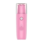 Ficha técnica e caractérísticas do produto 20ml Rose Portátil USB Recarregável Umidificador Facial Água Steamer Pulverizador