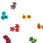 Ficha técnica e caractérísticas do produto 12 cores 3D secas flores secas Nail Art Wheel Decoração Manicure DIY Design