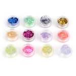 Ficha técnica e caractérísticas do produto 12 cores Nail Art Glitter forma redonda Sequins acr¨ªlicas Dicas de Gel UV DIY Projeto