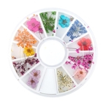 Ficha técnica e caractérísticas do produto 12 Types Colorful Natural Dried Flowers Decor Nail Decoration Manicure Arts AU