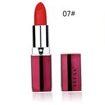 Ficha técnica e caractérísticas do produto 1016 Maquiagem Hidratante Lip Balm Lasting Lip Gloss 12 Cor Matte Lipstick