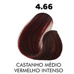 Ficha técnica e caractérísticas do produto 4.66 Castanho Médio Vermelho Intenso Therapy Color Coloração Permanente 60g Sanro Cosméticos
