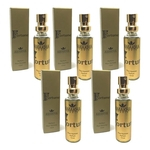 Ficha técnica e caractérísticas do produto 5un Perfume Fortune 15ml Amakha Paris