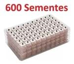 Ficha técnica e caractérísticas do produto 600 Sementes Vaccaria Auriculoterapia Acupuntura Auricular