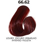 Ficha técnica e caractérísticas do produto 66.62 Louro Escuro Vermelho Intenso Violeta Therapy Color Coloração Permanente 60g Sanro Cosméticos
