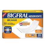 Ficha técnica e caractérísticas do produto Absorvente Bigmaxi com 20 Unidades - Bigfral