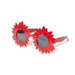Ficha técnica e caractérísticas do produto Acessório Óculos Flor Vermelho - 1 Unidade - Cromus