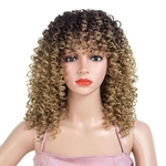 Ficha técnica e caractérísticas do produto Afro Kinky Curly Glueless Charming Queen Full Lace Human Hair Wigs For Black Women Brazilian Remy Hair Lace Wigs