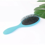 Ficha técnica e caractérísticas do produto Airbag de nylon pente de massagem plástico molhado escova pente cabeleireiro resistente
