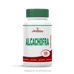 Ficha técnica e caractérísticas do produto Alcachofra 250Mg 120 Cápsulas
