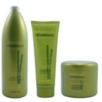 Ficha técnica e caractérísticas do produto Alfaparf Kit Midollo Di Bamboo Shampoo + Máscara + Leave-In