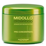 Ficha técnica e caractérísticas do produto Alfaparf Midollo Di Bamboo Pro-Concentrate Máscara 500ml