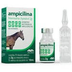 Ficha técnica e caractérísticas do produto Ampicilina Veterinária Injetável 2G Vetnil - 10 ML