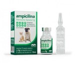 Ficha técnica e caractérísticas do produto Ampicilina Veterinária Injetável Vetnil - 2 Gr