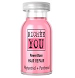 Ficha técnica e caractérísticas do produto Ampola Richée Professional - Richée You Power Dose Hair Repair - 12ml
