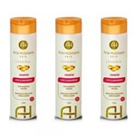 Ficha técnica e caractérísticas do produto Ana Hickmann Hair Lifestyle Liso Glamouroso Shampoo 300ml (Kit C/03)