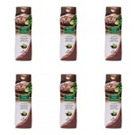 Ficha técnica e caractérísticas do produto Apinil Íntimo Sabonete Líquido Barbatimão Chocolate Menta 220ml (Kit C/06)