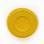Ficha técnica e caractérísticas do produto Aquacolor em Gel Atelier Paris - F12 Amarelo